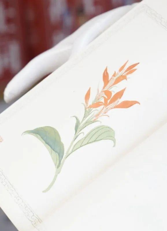 舊書新知傳習館 東城文藝品牌空間與當代文藝創(chuàng)作的薪火相傳